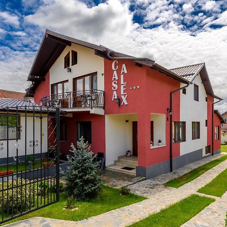 Hotel Casa Alex Călimăneşti Exteriér fotografie